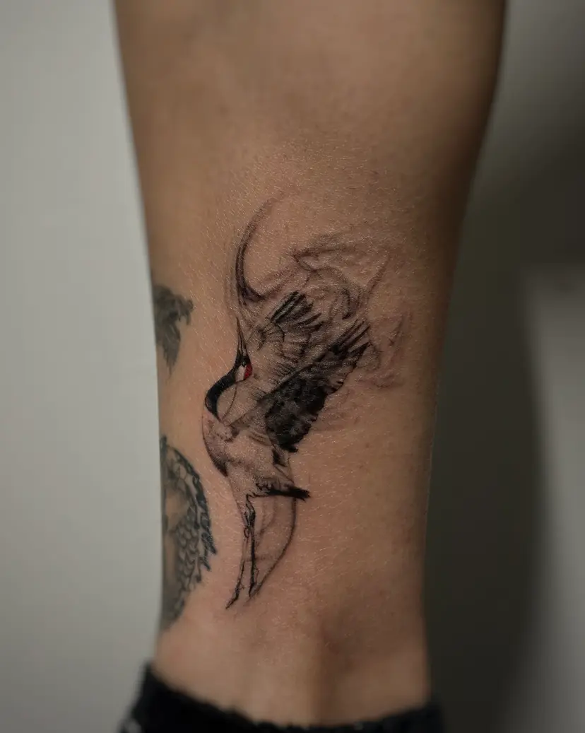 Black and grey crane tattoo with a red crown on a leg
